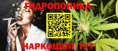 винт Партизанск