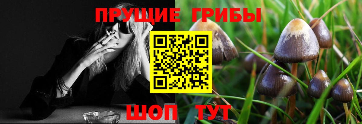 Псилоцибиновые грибы Psilocybe  Вход с VPN  Галлюциногенные грибы Magic Shrooms  Партизанск 